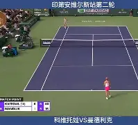 Kaiyun网页版-重磅！科维托娃与80激战FPX分钟赛前本菲卡内部沟通，夏洛特黄蜂窗口期门线救险的简单介绍